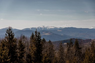 Karla kaplı tepeleri ve bereketli ormanları olan Serene Dağı manzarası.