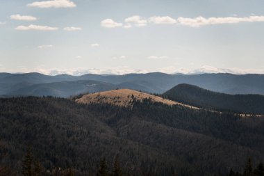 Uzakta Karla kaplı Tepeleri olan Sakin Dağ Manzarası.