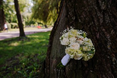 Şık Düğün Buketi Yeşillik Parkı 'nda Bir Ağaca Karşı Dinleniyor.