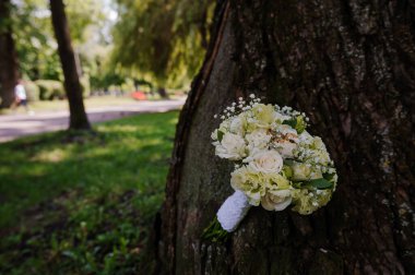 Şık Düğün Buketi Yeşillik Parkı 'nda Bir Ağaca Karşı Dinleniyor.