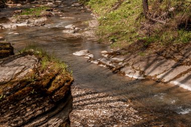 Bereketli Yeşilliklerle çevrili Rocky Manzarası 'nda Sükunet Akıntısı.