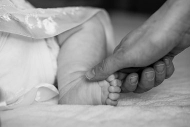 Monokromda Ebeveynler ve Bebekler Arasında Yumuşak Bağlantı.