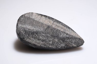 Antik Trilobit Fosil Görünümü Belirgin Kaya Yüzeyi, Tarih Öncesi Deniz Yaratığı Paleontolojik Örneği.