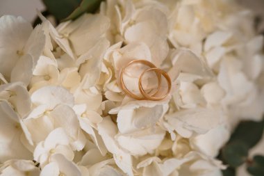 Beyaz ortancaların bereketli buketine yerleştirilmiş zarif alyanslar Sevgi, Bağlılık ve Yumuşak Doğal Işıkla Yeni Bir Başlangıç.