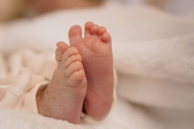 Yeni doğmuş bir bebeğin narin küçük ayaklarının, yumuşak, tüylü beyaz bir battaniyeye uzanmış, yeni hayatın masumiyetini ve hassasiyetini yansıtan yakın plan görüntüsü..