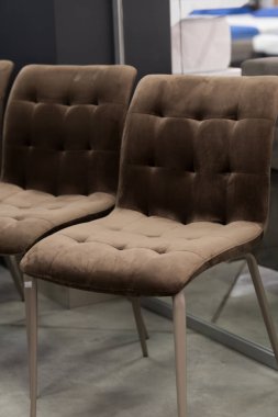 Düğme düğmeli arkası ve parlak metal bacaklı iki rahat kahverengi kadife yemek sandalyesi modern ev için ideal bir mobilya mağazası ortamında sergileniyor.
