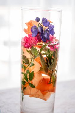 Suyla dolu uzun ve berrak bir vazo canlı portakal ve pembe yapraklardan oluşan güzel bir çiçek düzeneği, mor bezelyeler ve yeşil yapraklar büyüleyici bir natürmort yaşam bileşimi oluşturuyor..