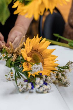 Buğday, papatya ve bebek nefesiyle tamamlanmış büyüleyici bir ayçiçeği buketi hazırlarken yakın plan çekimler. Çiçek atölyesinin sıcaklığını cennetlik bir ortamda yakalıyor.