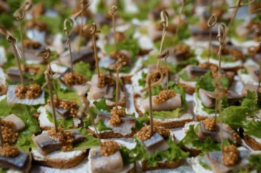 Yüksek açılı yakın plan sergiler krem peynirle süslenmiş sardalya kanapeleri, yeşillik dalları ve zarif havyarlar lüks etkinliklere hazır.