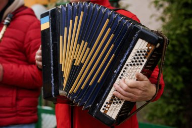 Bir müzisyen açık hava kültür etkinliğinde canlı kırmızı bir ceket giyip canlı bir halk müziği yaratmaya odaklanmış mavi bir akordeon çalar.