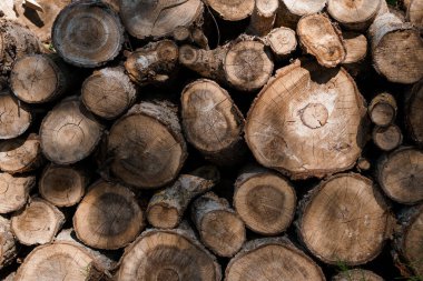 Özenle istiflenmiş odun kütüklerinin detaylı bir genel görünümü, ev ısıtma, sürdürülebilir enerji ve kırsal yaşam temaları için ideal olan doğal kahverengi tahıl dokusunu ortaya koyuyor.