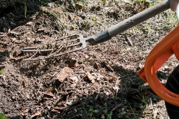 Yakın plan çekimde koyu kahverengi toprağı sürme sürecinde bir bahçe çatalı resmedilmiş, canlı turuncu bir eldiven ile vurgulanmış, baharda baharda bahçe işleme ve tarım uygulamaları gerçekleştirilmiştir.
