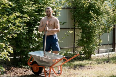 Çıplak göğüslü bir adam verimli bir arka bahçede bahçıvanlık yapıyor güneşli bir yaz gününde yeşil alanda el arabası sürüyor ve tarımsal görevler yapıyor.