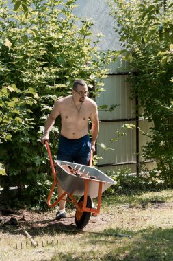 Gözlüklü üstsüz bir adam, güneşli bir günde yemyeşil bir bahçede turuncu bir el arabasını itiyor. Açık havada yaz işleri yapıyor, bakımına odaklanıyor.