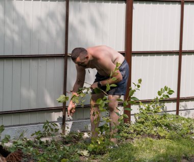 Çıplak göğüslü bir adam güneşli bir günde bej renkli bir metal çitin yanında bitki yetiştirme eğilimindedir. Bahçe işleri ve açık hava bakımı gibi aktiviteler sergiler.