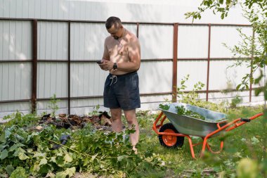 Tişörtsüz bir adam arka bahçesinde bahçeyle uğraşıyor. Telefonunu metal bir çitin yanında kontrol ederken yeşil bitkileri taşımak için el arabası kullanıyor.