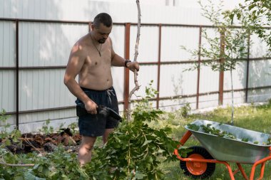Tişörtsüz bir adam bahçedeki çalıları titizlikle buduyor. Turuncu bir el arabasıyla kesme, açık hava işleri ve bahçe bakımı yapıyor.