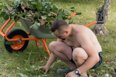 Bahçende üstsüz bir adam çalışır, güneşli bir günde yemyeşil çimenlikte turuncu bir el arabasıyla yaprakları toplar, fiziksel emek, peyzaj işleri ve açık hava yaşamını sergiler.
