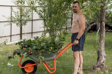 Tişörtsüz, orta yaşlı bir adam çimenli bir arka bahçede ağaç ve ahşap çitlerle dolu bir el arabası taşıyor.