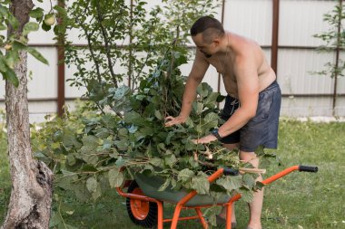 Beyaz gömleksiz bir adam, güneşli bir yaz gününde, ağaçlar buduyor ve yemyeşil bir arka bahçede turuncu bir el arabasına dallar yüklüyor.