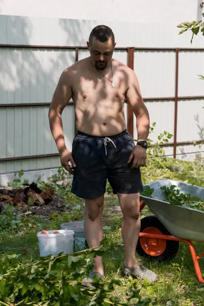 Üstsüz, atletik bir adam bahçesine bakar, yabani otları çeker ve yeşil yapraklar, beyaz kovalar ve domates bitkileriyle dolu bir el arabasının yanında çalışır.