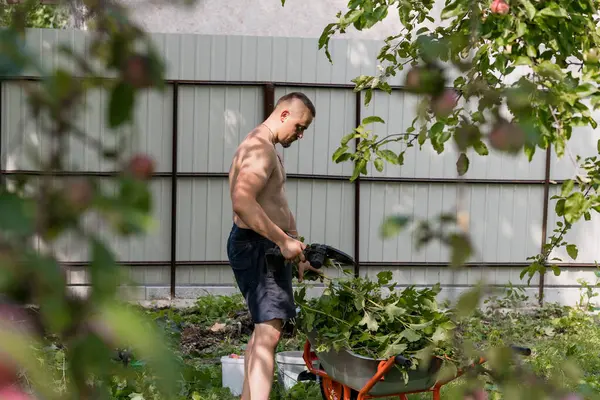 Kaslı bir adam bahçesindeki bitkileri suluyor. Parlak güneşli bir günde, bir elma ağacının yanında bir hortum ve ahşap bir çit kullanıyor. gerçekçi açık hava yaşam tarzı çekimi