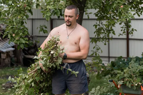Orta yaşlı bir adam bahçesindeki yemyeşil bahçesinde bir elma ağacını budar, şort giyer, açık hava işleri, yaz ve doğa üzerine yoğunlaşır.