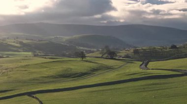 Yorkshire Dales Şafakta: Otlayan Koyunlu Huzurlu Kırsal Arazi