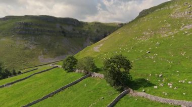 Gordale Scar ve Yorkshire Kireç Taşı Manzarası Hava Aracı Görüntüsü Malham Koyu