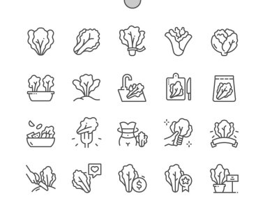 Marul sebzesi. Yemek pişirme, yemek tarifleri ve fiyat. Yiyecek dükkanı, süpermarket. Kafe için menü. Piksel Mükemmel Vektör İnce Çizgi Simgeleri. Basit Asgari Resim Grafiği