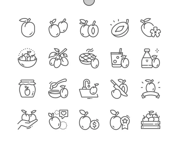 李子新鲜水果 食谱和价格 整整齐齐的切李子食品店 咖啡店的菜单 Pixel完美矢量稀疏线图标 简单极小象形文字 — 图库矢量图片