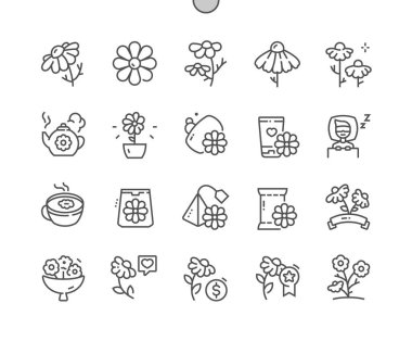 Papatya çiçeği. Çiçek ve doğa. Papatya çayı. Yemek malzemesi. İlaç fabrikası. Piksel Mükemmel Vektör İnce Çizgi Simgeleri. Basit Asgari Resim Grafiği