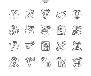 Pırasa. Soğan. Doğa bitkisel organik gıda. Yemek pişirme, yemek tarifleri ve fiyat. Yiyecek dükkanı, süpermarket. Piksel Mükemmel Vektör İnce Çizgi Simgeleri. Basit Asgari Resim Grafiği