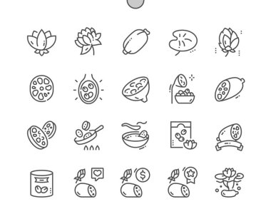 Lotus eating. Lotus root vegetable and slice. Cooking, recipes and price. Menu for cafe. Lotus root chips. Pixel Perfect Vector Thin Line Icons. Simple Minimal Pictogram
