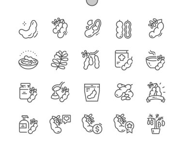 Tamarind fruit. Tropical exotic food. Tamarind chutney. Shop, supermarket. Menu for cafe. Pixel Perfect Vector Thin Line Icons. Simple Minimal Pictogram