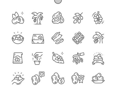 Date palm. Tropical exotic food. Date fruit package. Food shop, supermarket. Menu for cafe. Pixel Perfect Vector Thin Line Icons. Simple Minimal Pictogram