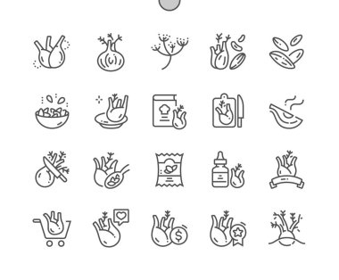 Fennel vegetable. Nature ingredient, spice. Cooking, recipes and price. Food shop, supermarket. Menu for cafe. Pixel Perfect Vector Thin Line Icons. Simple Minimal Pictogram