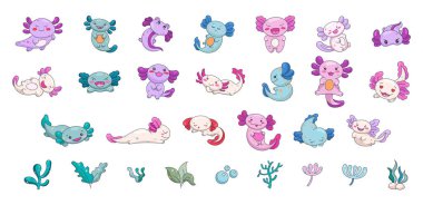 Axolotl sevimli kawaii karakteri. Su altı bitkileri ve algler. Vektör çizimi. Koleksiyon tasarım ögeleri.
