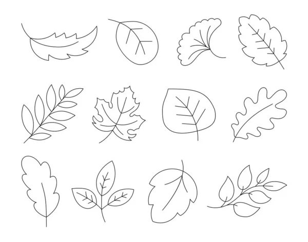 Folhas Outono Dos Desenhos Animados Página Para Colorir Estilo Desenhado — Vetor de Stock