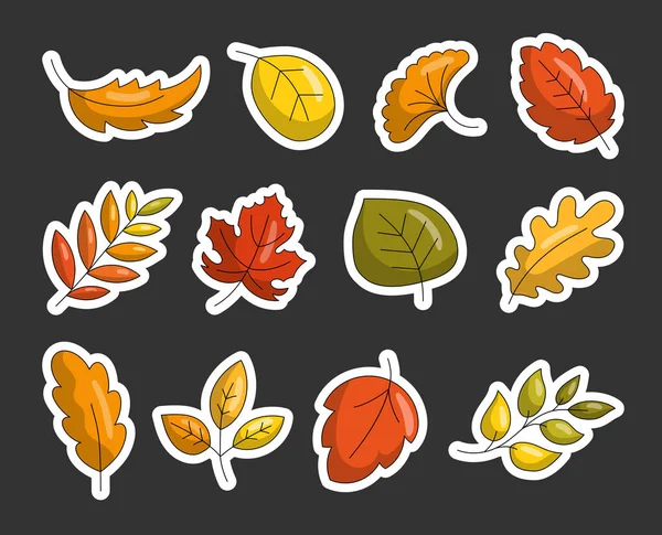 Colorful Cartoon Autumn Leaves Sticker Bookmark Hand Drawn Style Botanical — Stock Vector