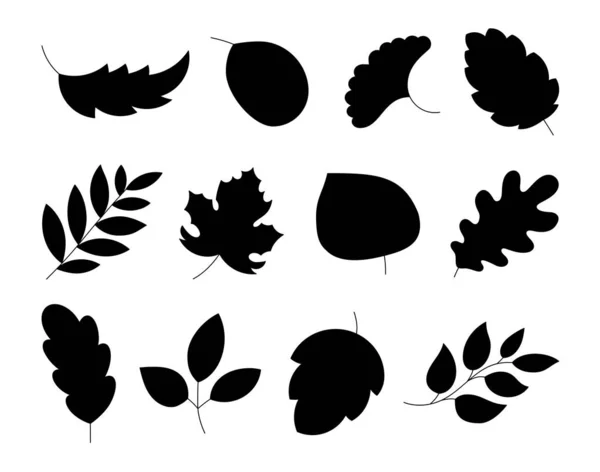 漫画の秋が去っていく シルエット画像 手描きスタイル 植物学について ベクター図面 デザイン要素のコレクション — ストックベクタ