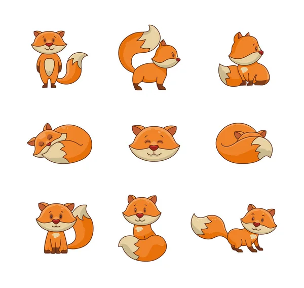 可爱的卡通狐狸 有趣的野生动物 矢量绘图 设计要素的收集 — 图库矢量图片