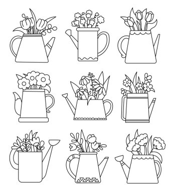 Sulama kabında yaprakları olan güzel çiçekler. Boyama sayfası. Baharın baharı. El çizimi stili. Vektör çizimi. Tasarım elementlerinin koleksiyonu.