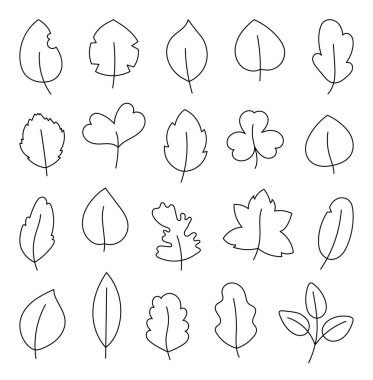Sonbahar yaprağı. Doğa. Boyama sayfası. El çizimi stili. Vektör çizimi. Tasarım elementlerinin koleksiyonu.