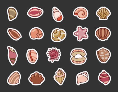 Deniz kabuğu. Etiket Yer İmi. Yumuşakça ve deniz salyangozundan oluşan deniz kabukları. Yaz tatili. El çizimi stili. Vektör çizimi. Tasarım elementlerinin koleksiyonu.