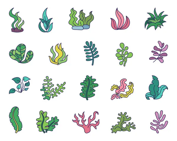 Unterwasserpflanzen Algen Aquarienbepflanzung Handgezeichneter Stil Vektorzeichnung Sammlung Von Gestaltungselementen — Stockvektor