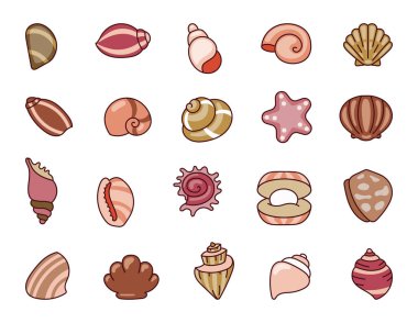 Deniz kabuğu. Yumuşakça ve deniz salyangozundan oluşan deniz kabukları. Yaz tatili. El çizimi stili. Vektör çizimi. Tasarım elementlerinin koleksiyonu.