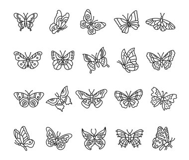 Butterfly insect winged nature set with various shapes and symmetrical outline elements in decorative cute flying form for yours illustration and creative object designs