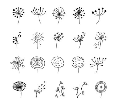 Karahindiba botanik çizgisi seti. Kırılgan çiçek elementleri. Sizinki için çizilmiş çizimler ve yaratıcı tasarımlar.