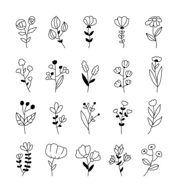 Çiçek taslak sanat seti, doğal dekoratif bitkiler ve çizimleriniz için büyüleyici botanik elementler, yaratıcı tasarım projeleri ve doğadan esinlenen kompozisyonları gevşetmek.